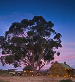 Bushmanskloof Wilderness Reserve