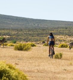 Bushmanskloof Wilderness Reserve