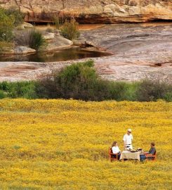 Bushmanskloof Wilderness Reserve