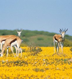 Bushmanskloof Wilderness Reserve