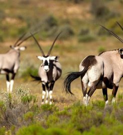 Bushmanskloof Wilderness Reserve