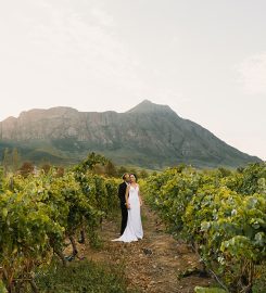 Saronsberg Cellar