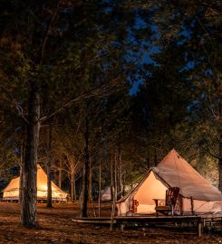 Cherry Glamping