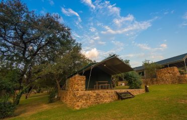 Bush Willow Tented Camp