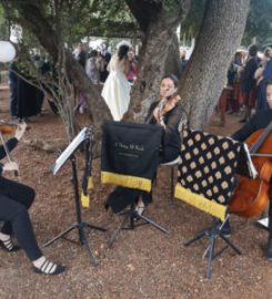 A String Of Pearls String Trio